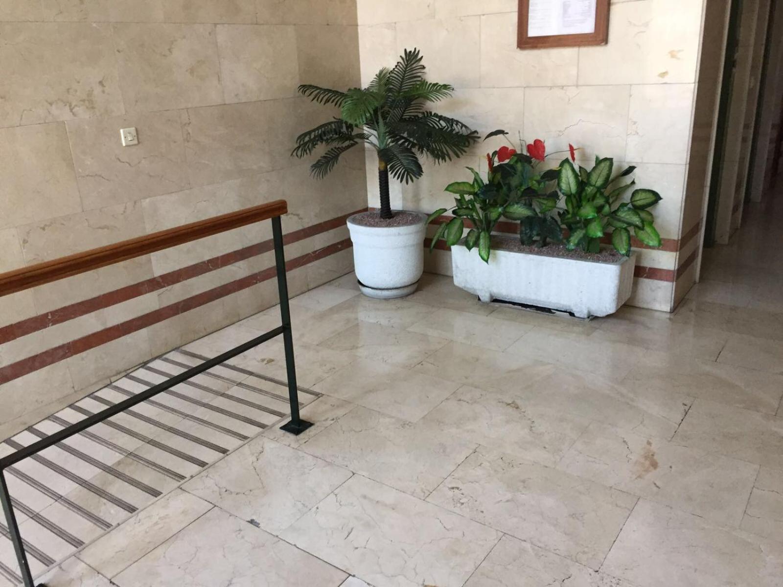 Alicante Postiguet Studios Экстерьер фото